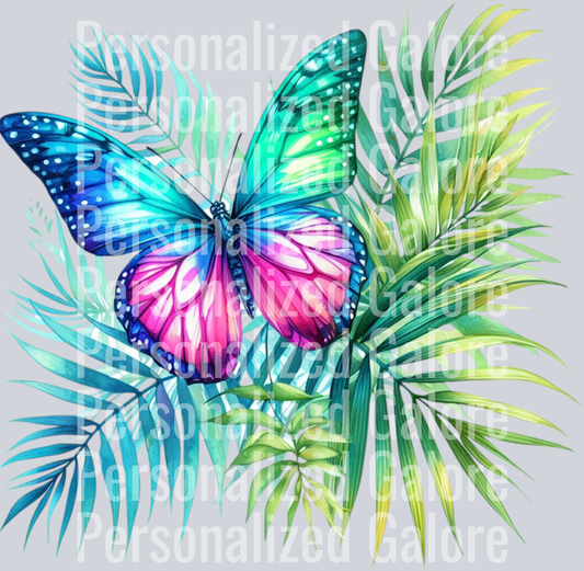 butterfly_001