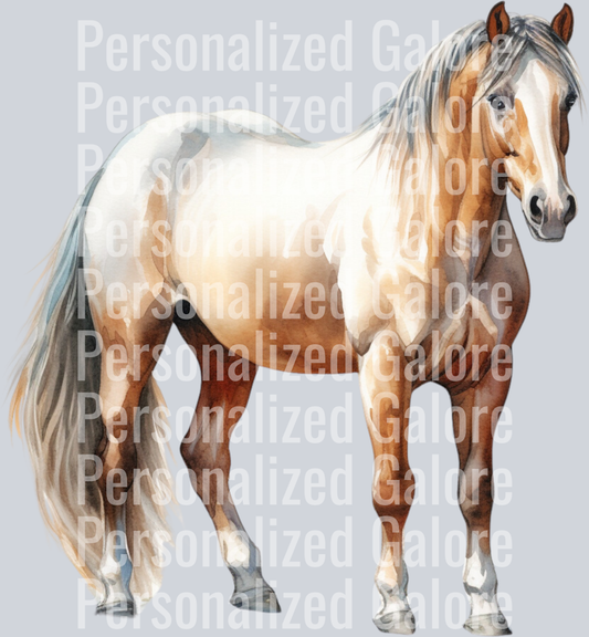 horse_014