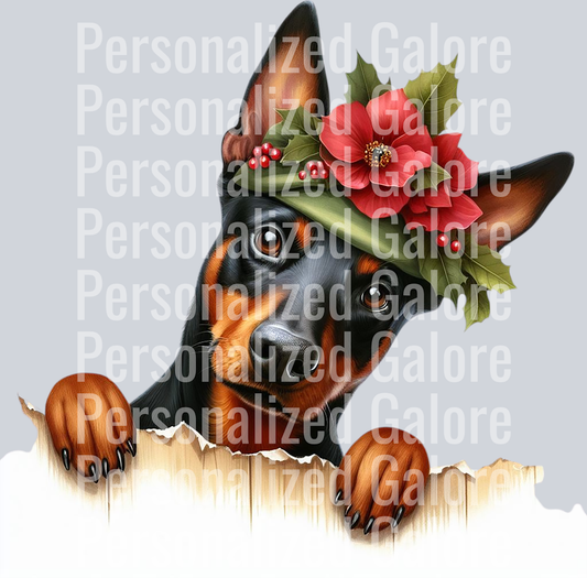 dog_347