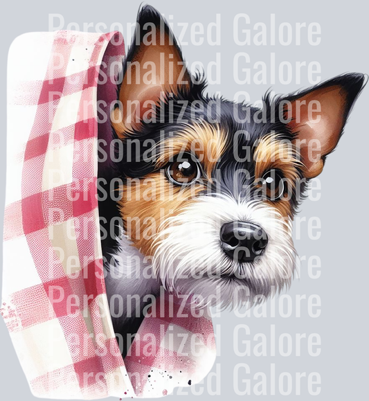 dog_537
