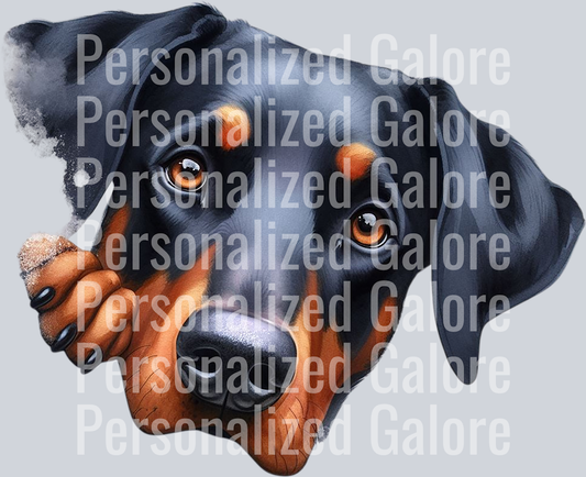 dog_380