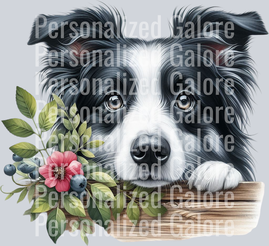 dog_455