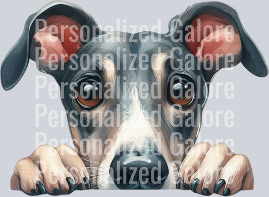dog_311