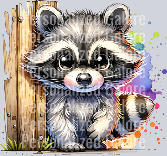raccoon_003