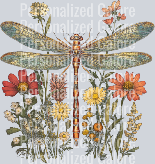 Dragonfly_023