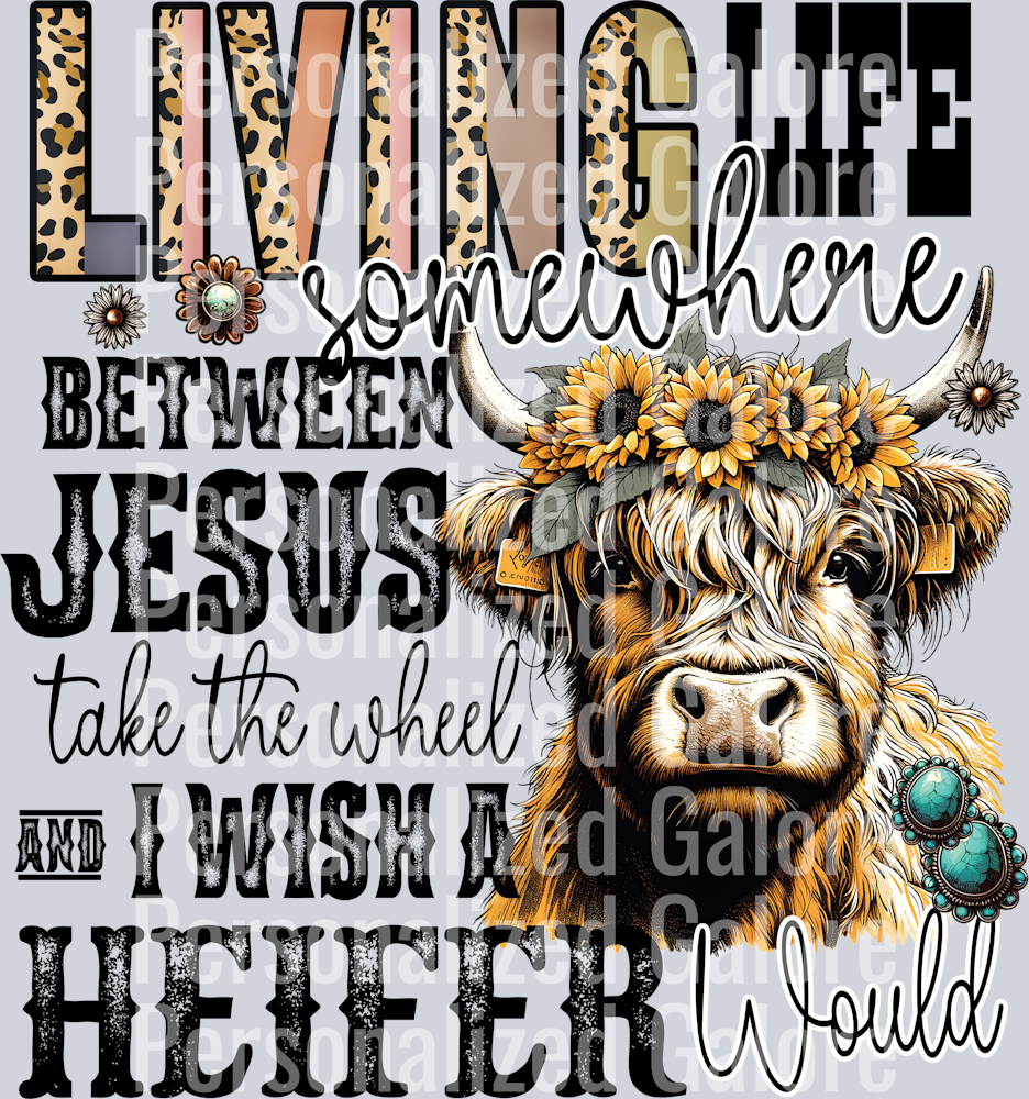 cow_492
