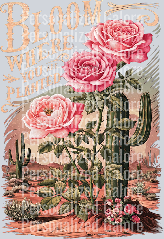 western_061
