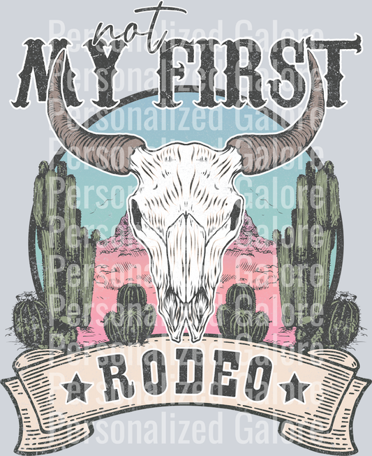 western_312