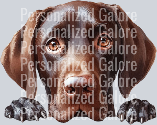 dog_339