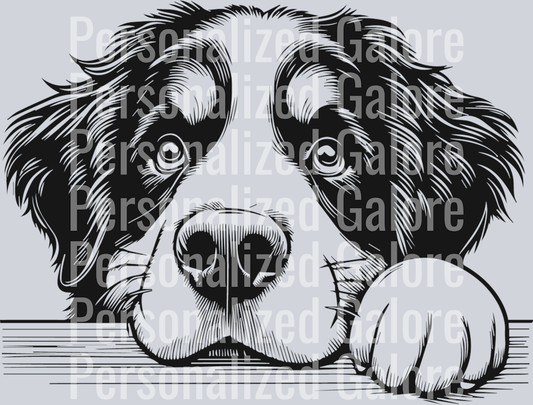 dog_224