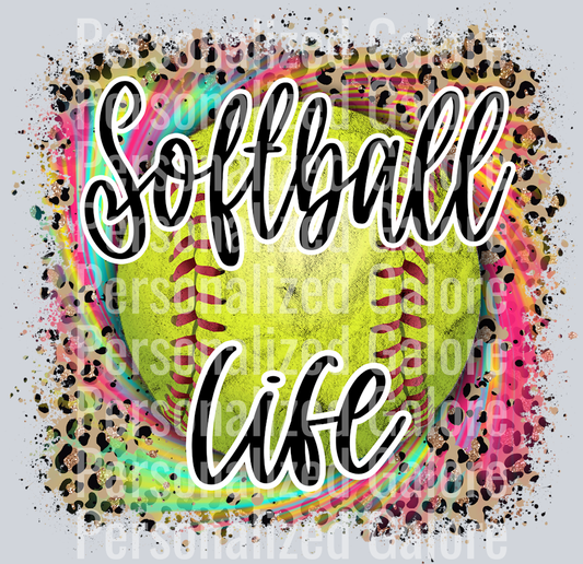 softball_003