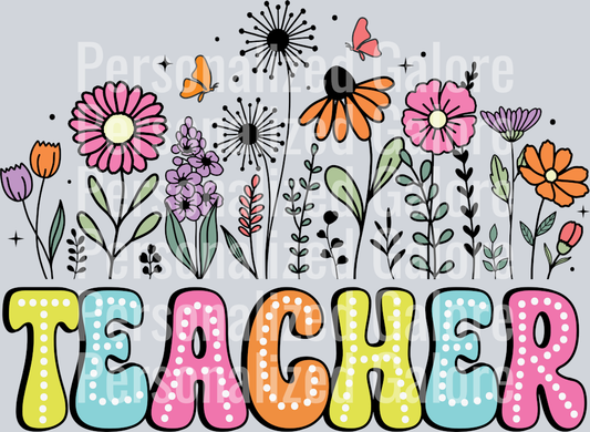 teacher_014