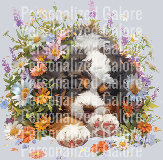 dog_285