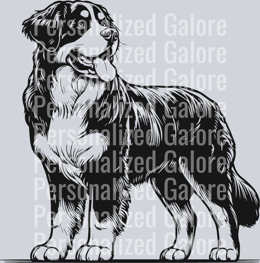 dog_212