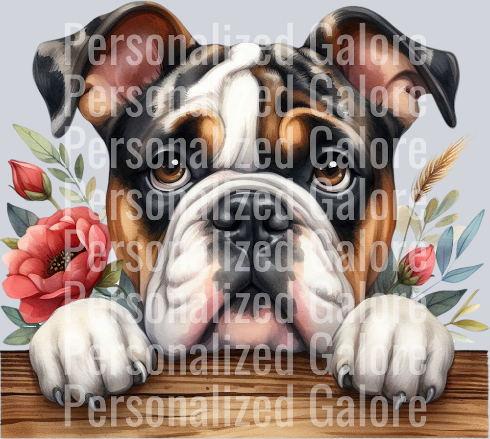 dog_457