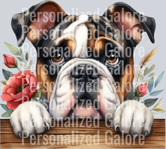 dog_457