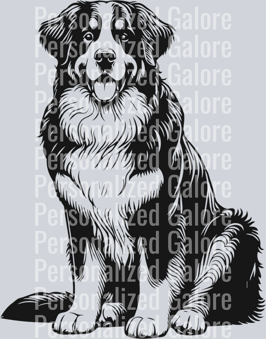 dog_169