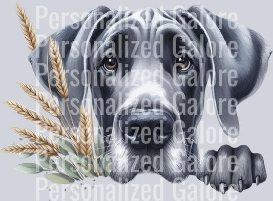 dog_321