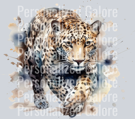 leopard_009