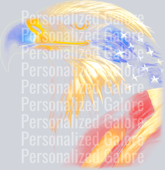 transparent_051
