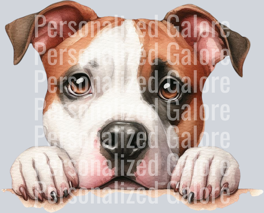 dog_492