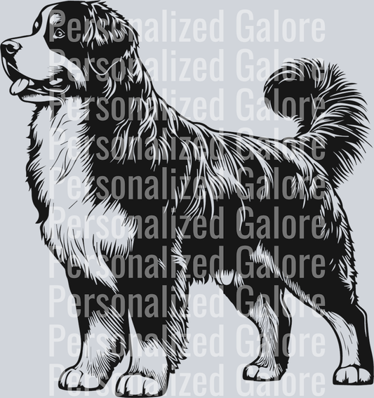 dog_172