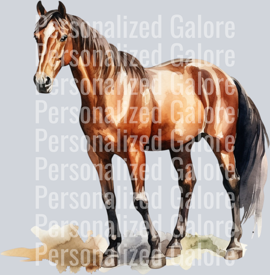horse_010