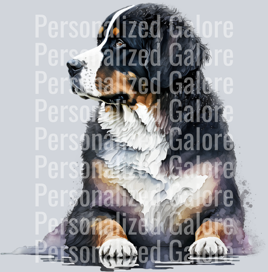 dog_007