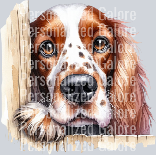 dog_364