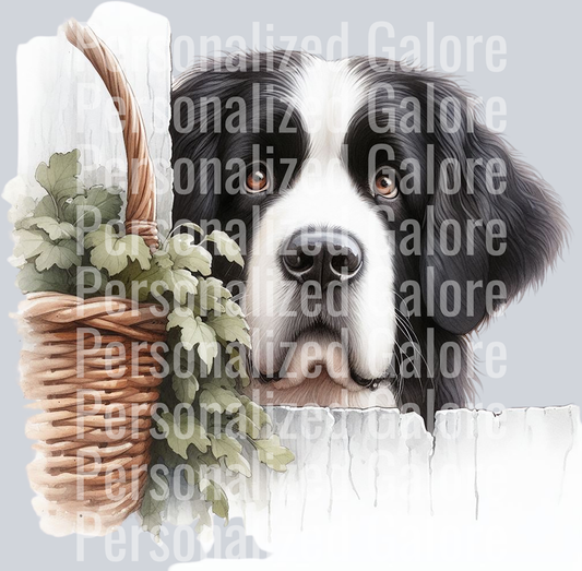dog_519