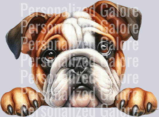 dog_435