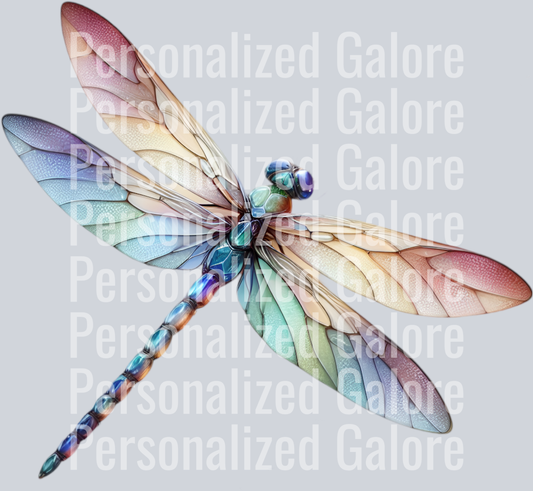 dragonfly_005