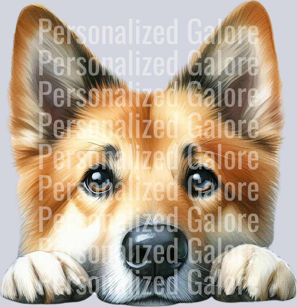 dog_428