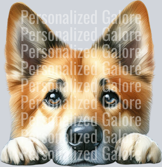 dog_428
