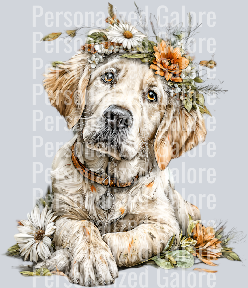 dog_662