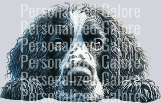 dog_490