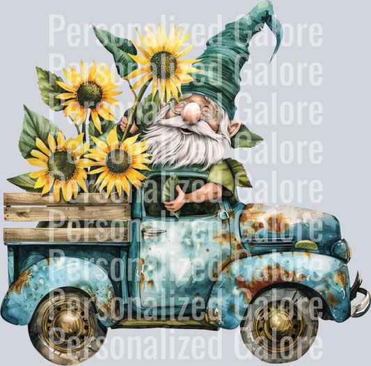Gnome_030
