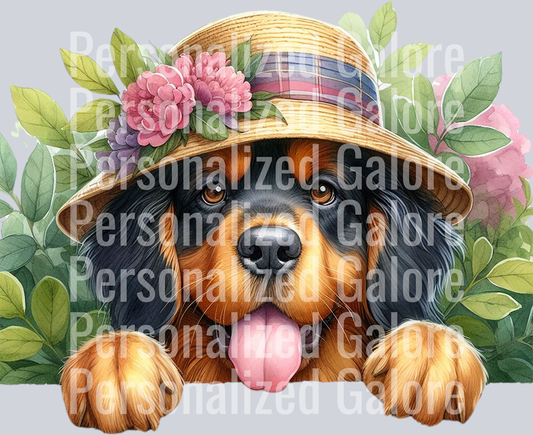 dog_304
