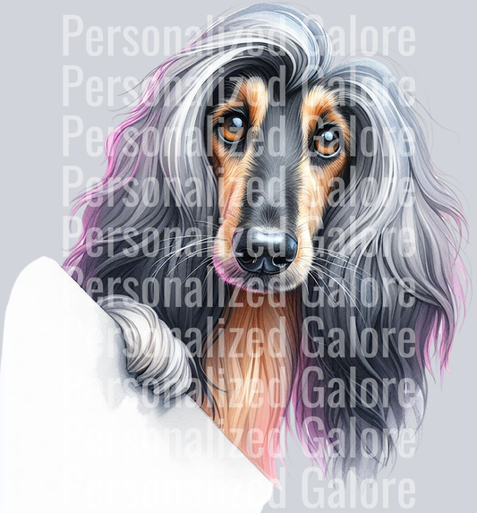 dog_288