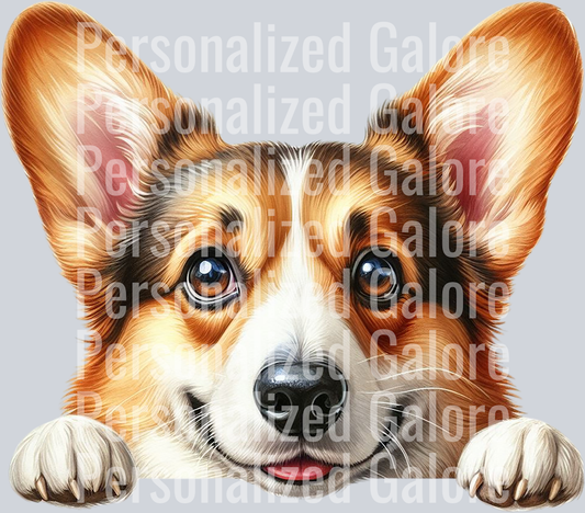 dog_423