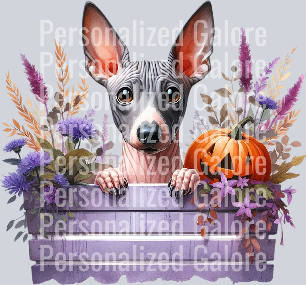 dog_496