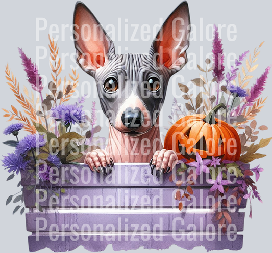 dog_496