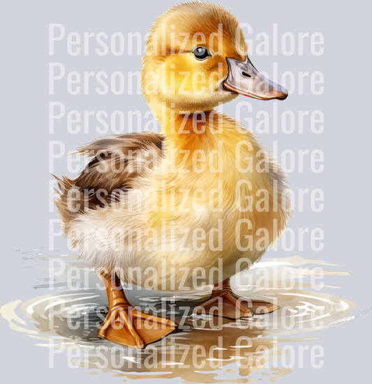 duck_238