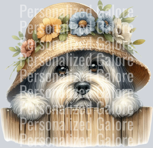 dog_514