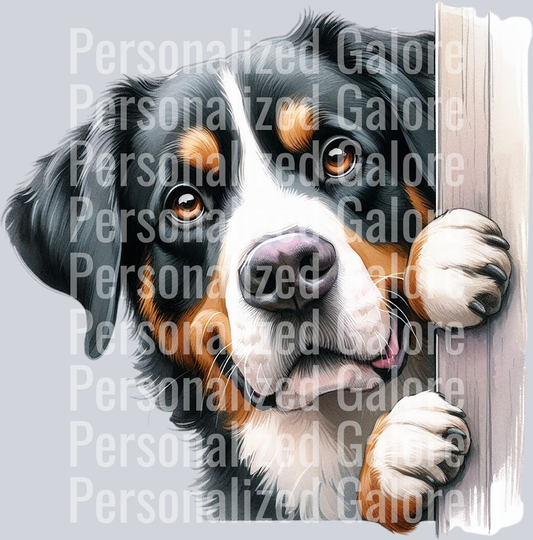 dog_317