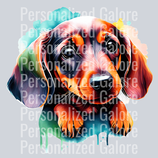 dog_578