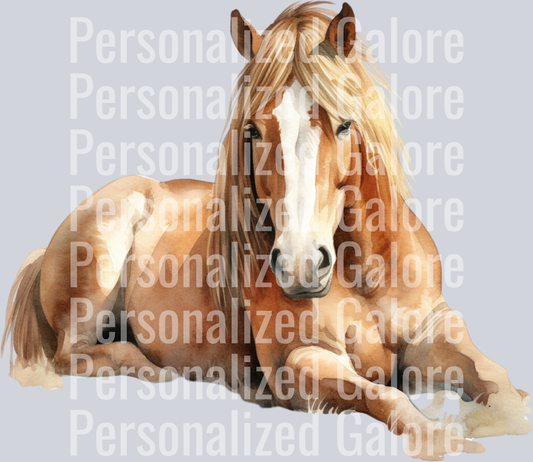 horse_017