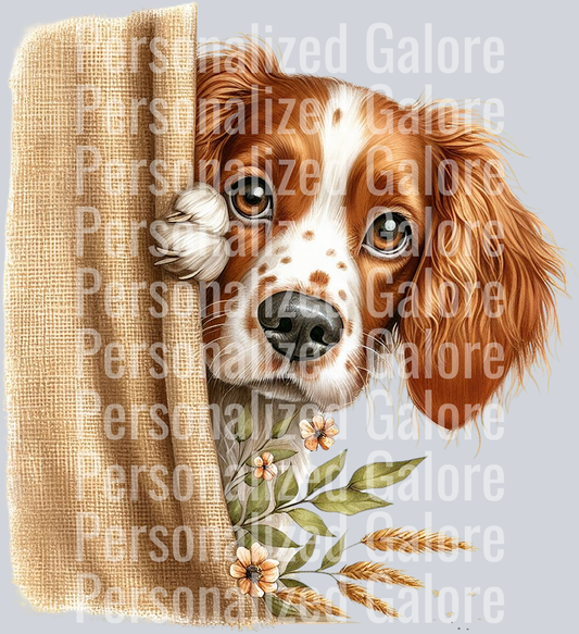 dog_439