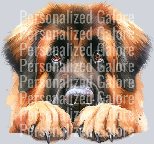dog_516