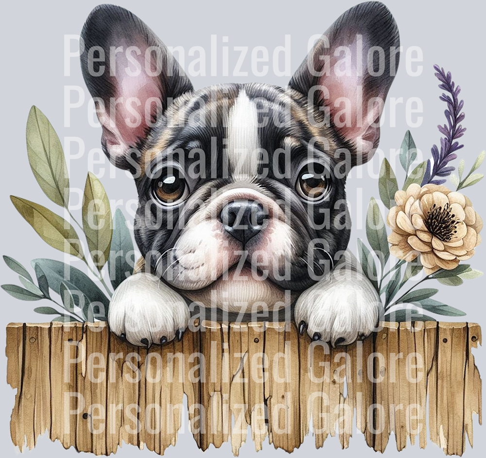 dog_349